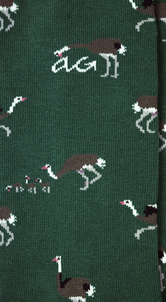 Ostrich | Army