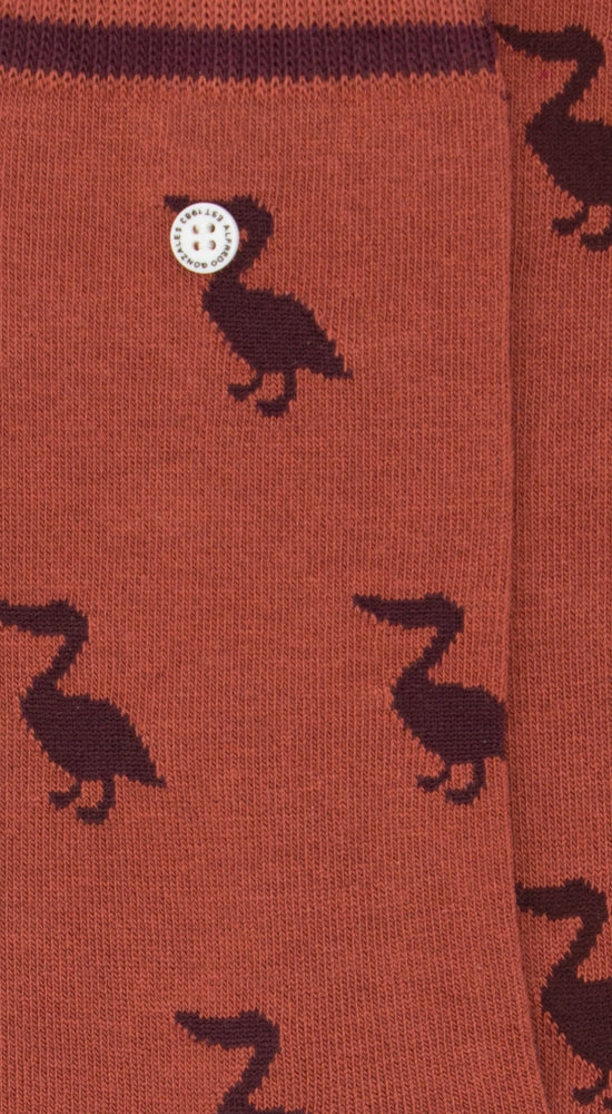 Pelican | Orange