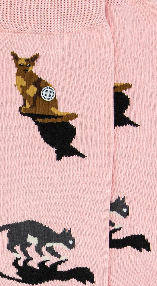 Cats | Pink