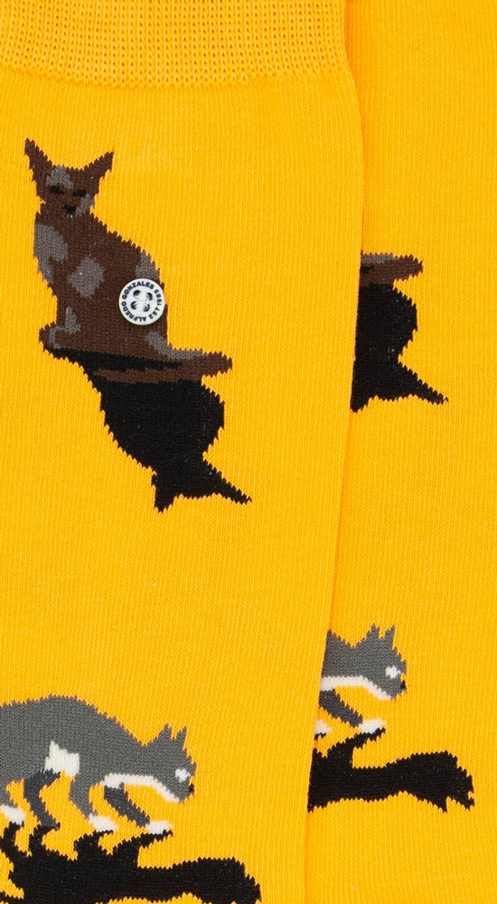 Cats | Mustard