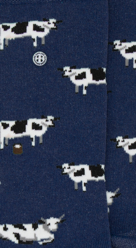 Cows | Navy