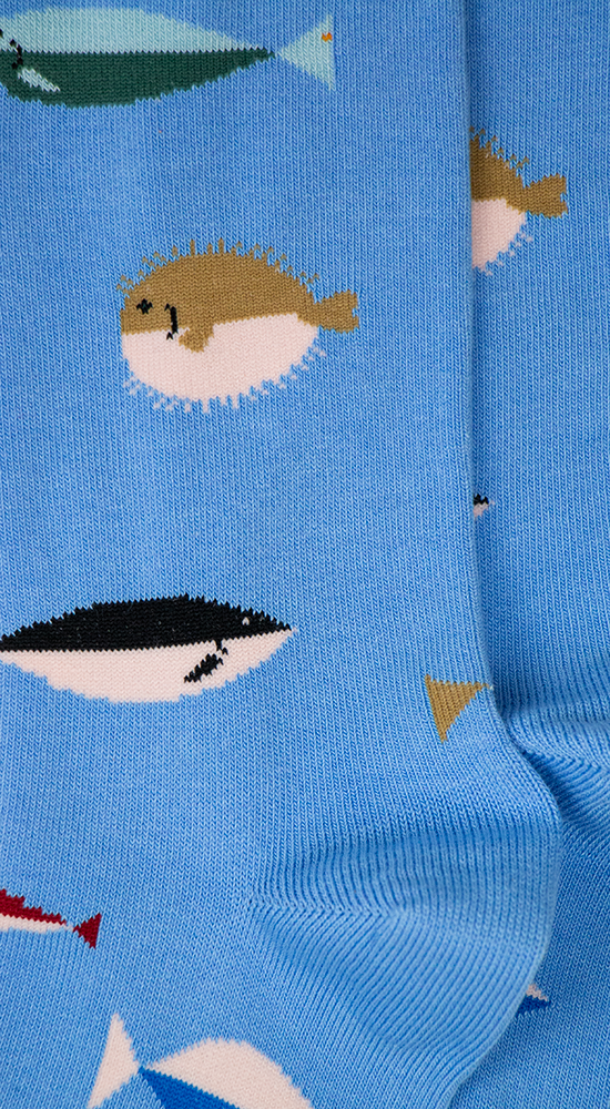 Fish | Light Blue