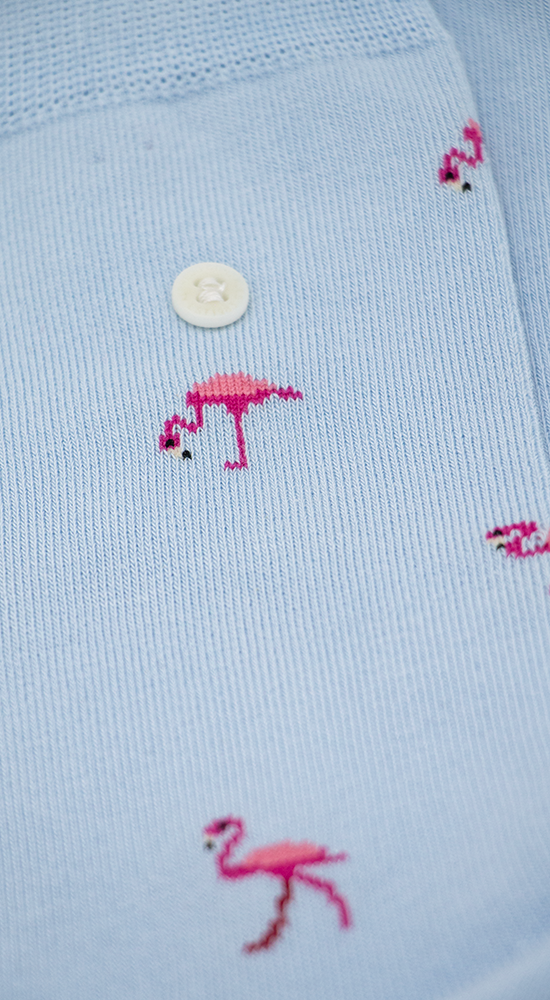 Flamingos | Light Blue