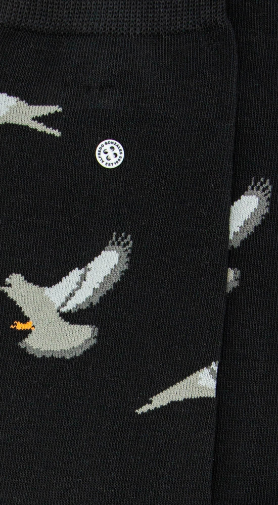 Pigeons | Black
