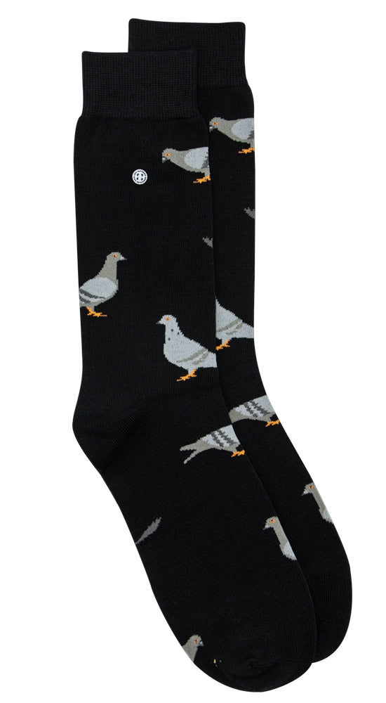 Pigeons | Black