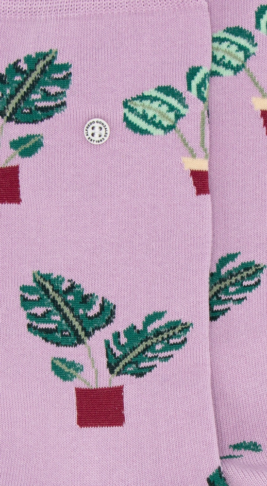 Plants in Pots | Lila