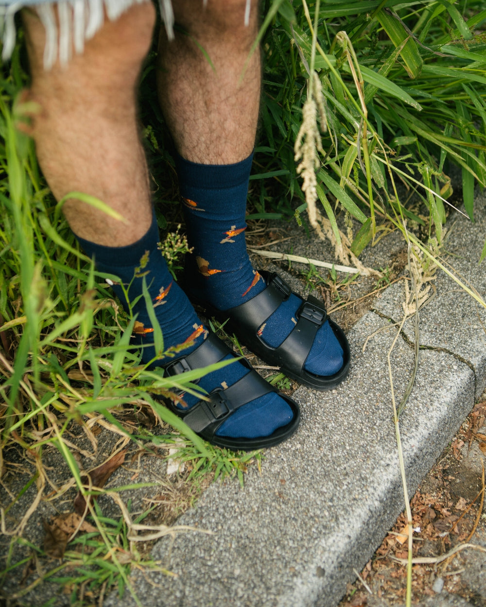 Roodborstje | Navy
