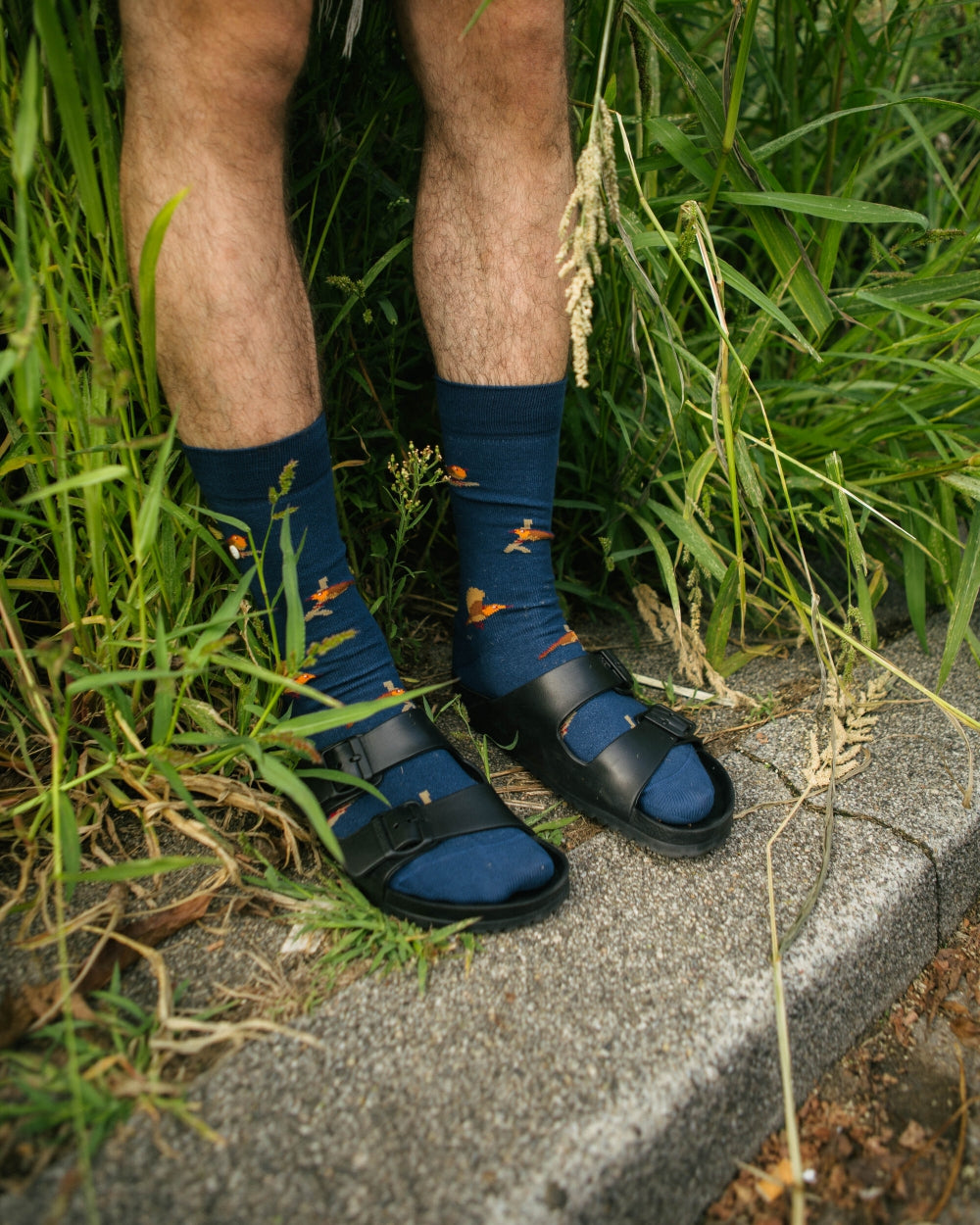 Roodborstje | Navy