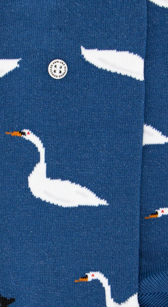 Swan Lake | Light Blue