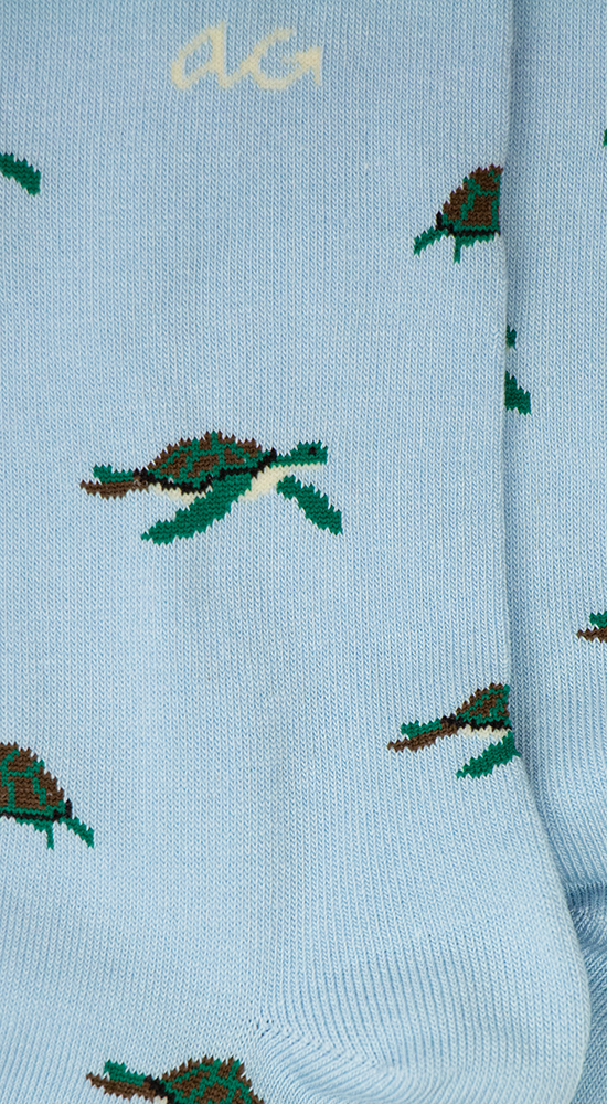 Turtles | Light Blue