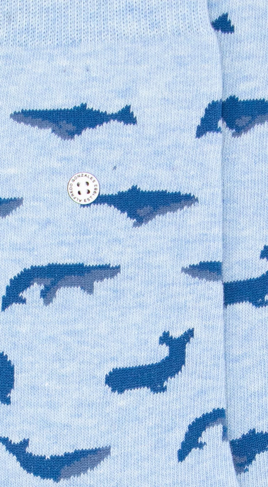 Whales | Blue Melee