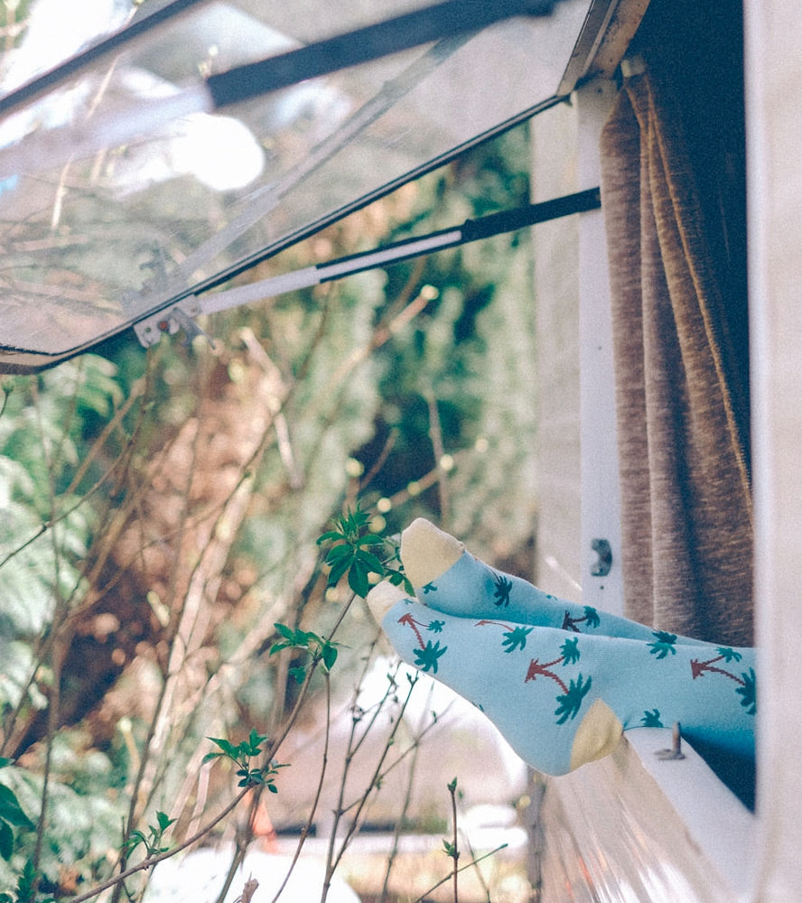 Palm Springs | Light Blue