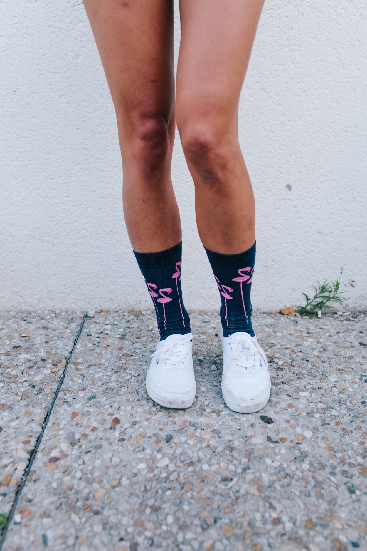 The Flamingo | Purple