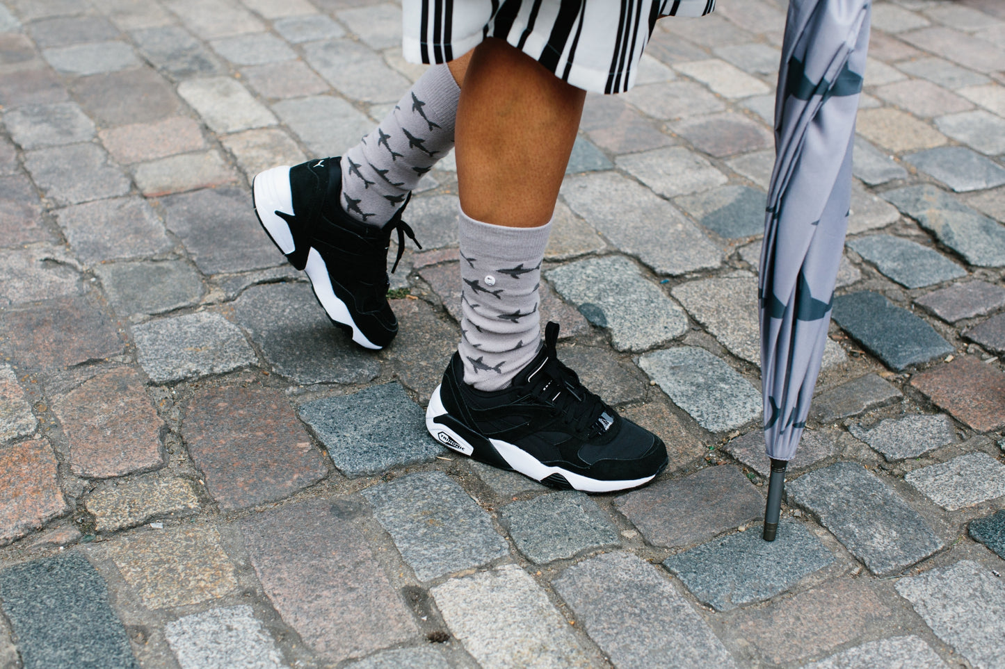 Shark Attack | Light Grey
