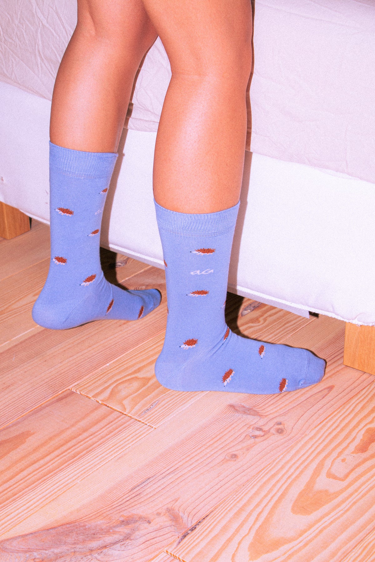 Hedgehogs | Light Blue