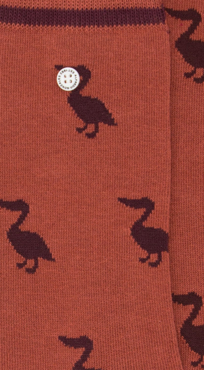 Pelican | Orange