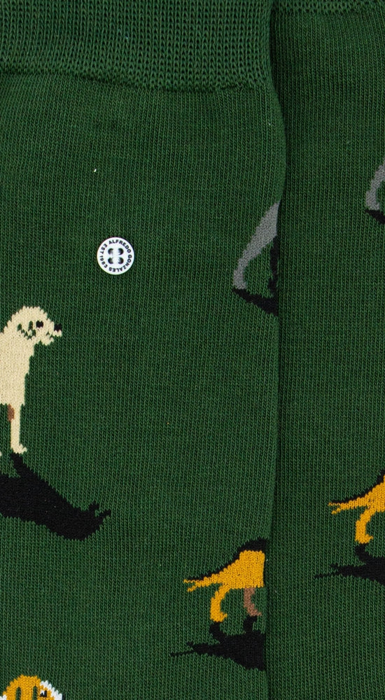 Dogs | Army