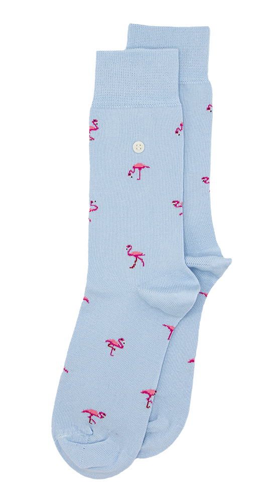 Flamingos | Light Blue