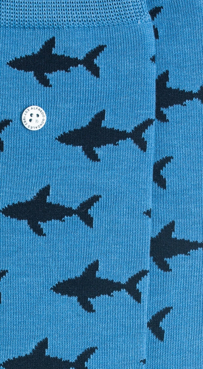 Shark Attack | Light Blue