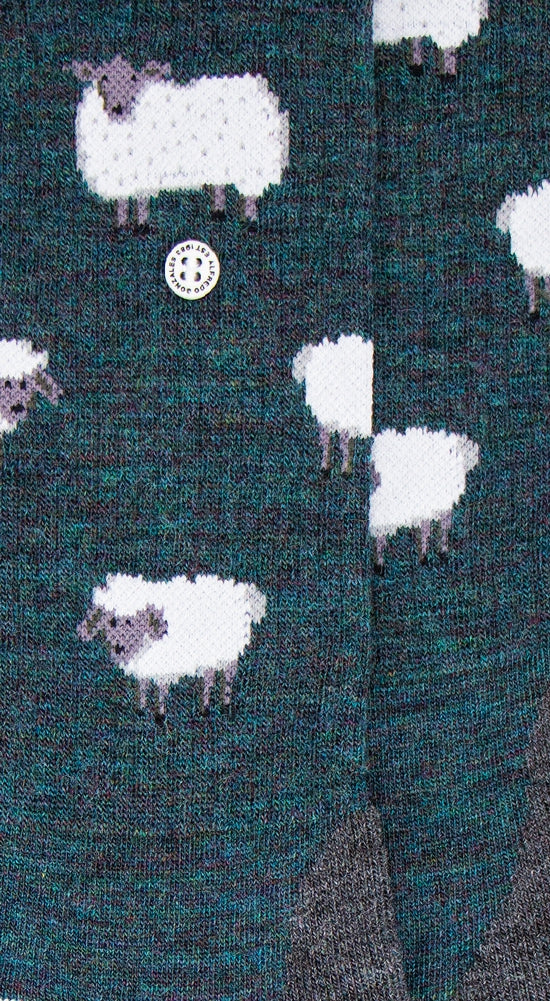 Sheep Merino Wool | Petrol