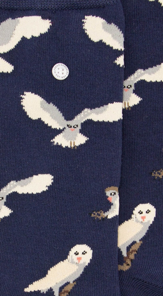 Owls | Navy