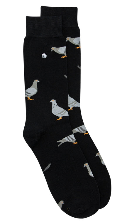 Pigeons | Black