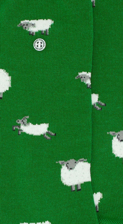 Sheep | Green