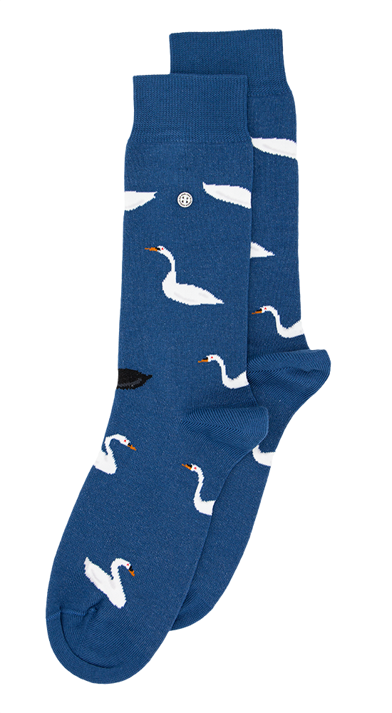 Swan Lake | Light Blue