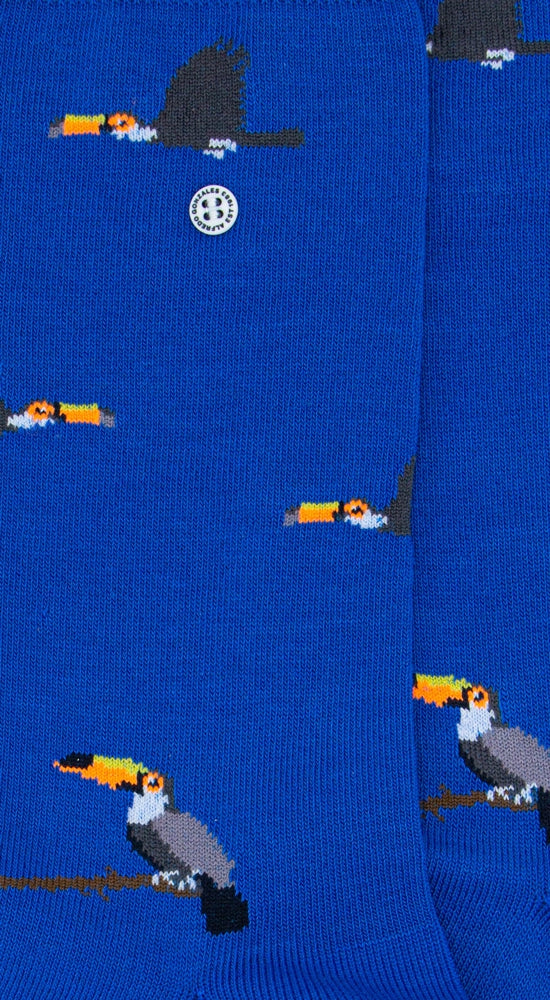 Toucan | Light Blue