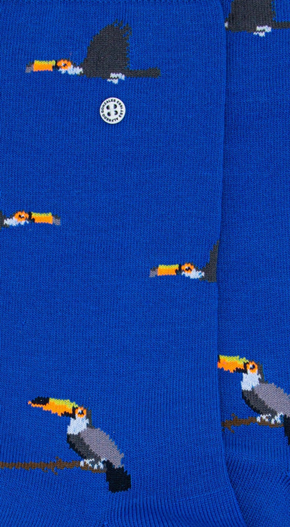 Toucan | Light Blue