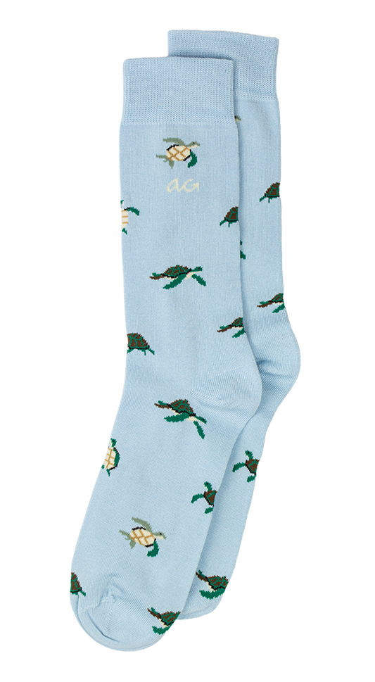 Turtles | Light Blue