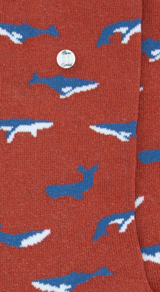Whales | Orange