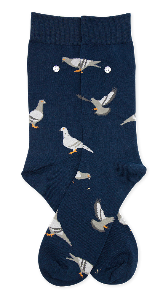 Pigeons | Navy