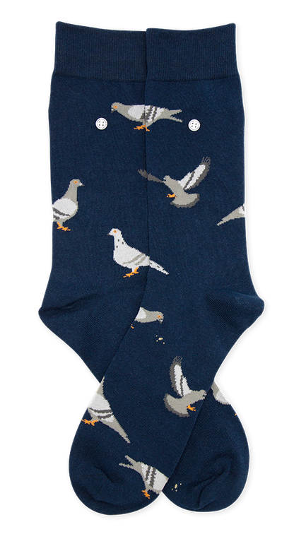 Pigeons | Navy
