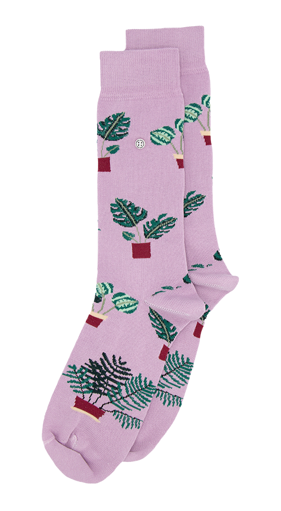 plant pot socks Plants in Pots