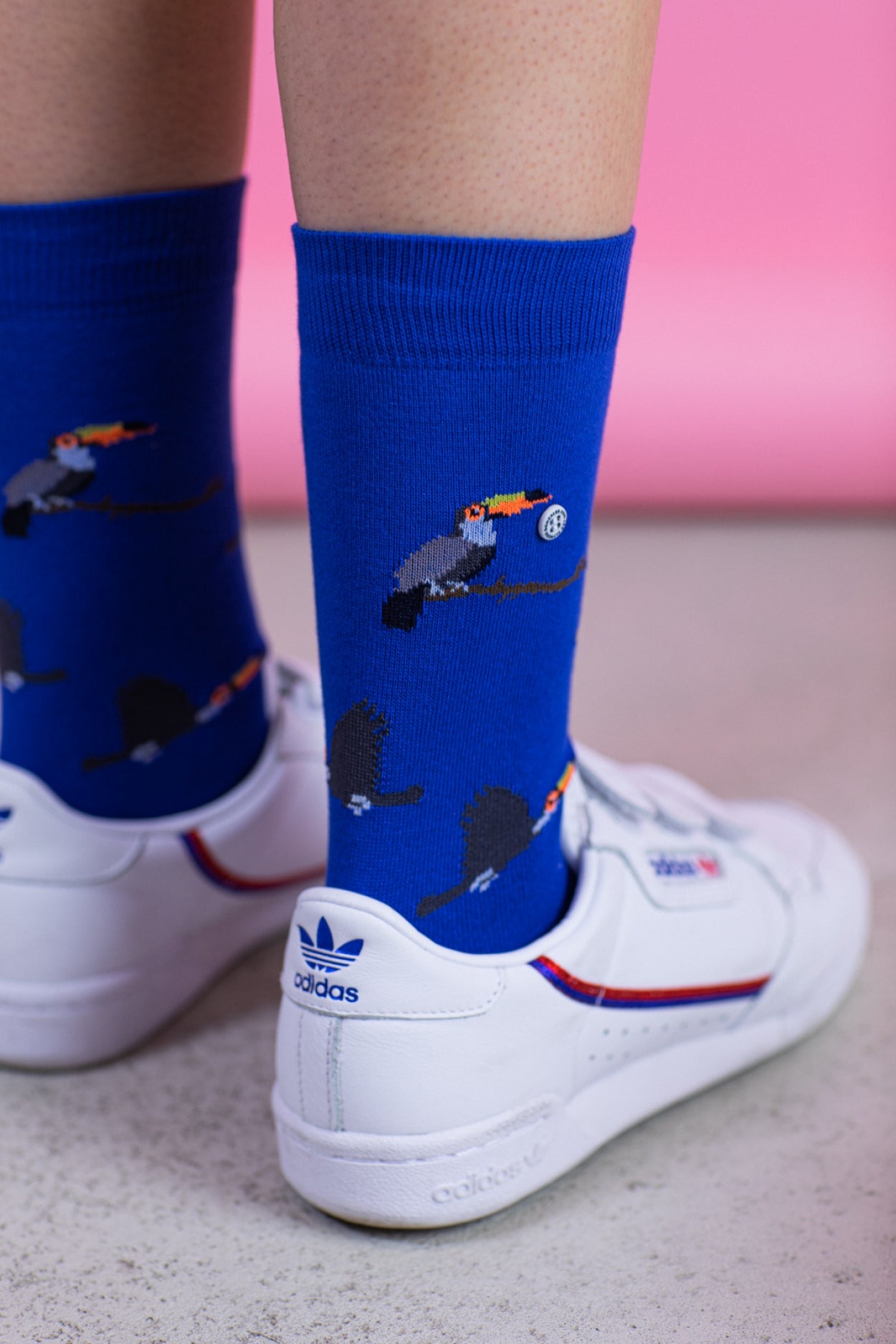 Toucan | Light Blue