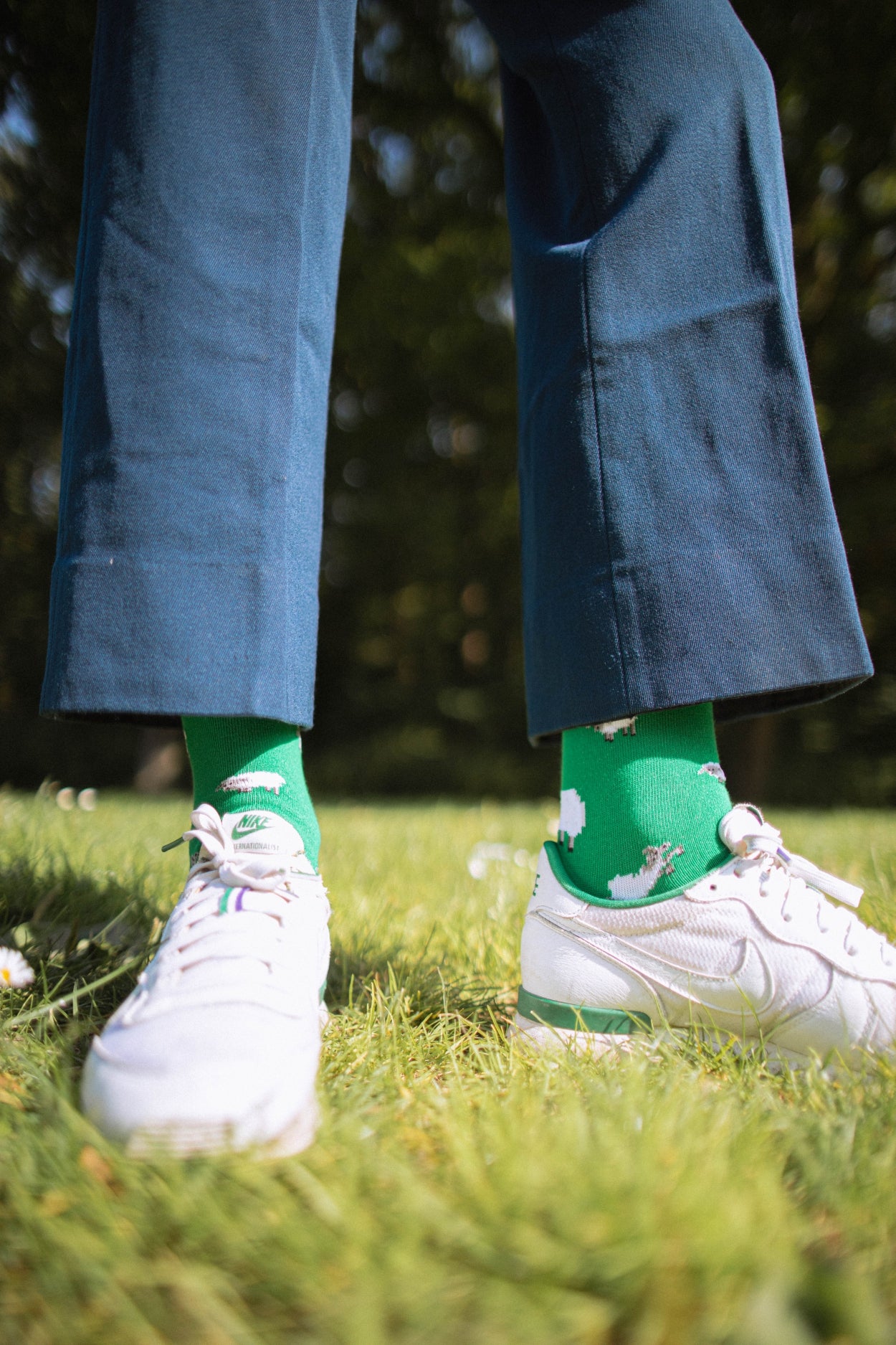 Sheep | Green